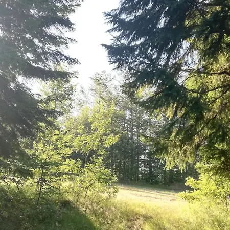 Holiday home Mountain House Centar Pridolci